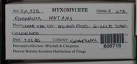 Image Associated With the Occurence